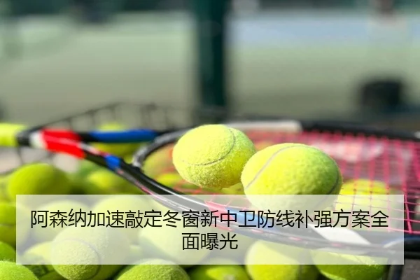 阿森纳加速敲定冬窗新中卫防线补强方案全面曝光