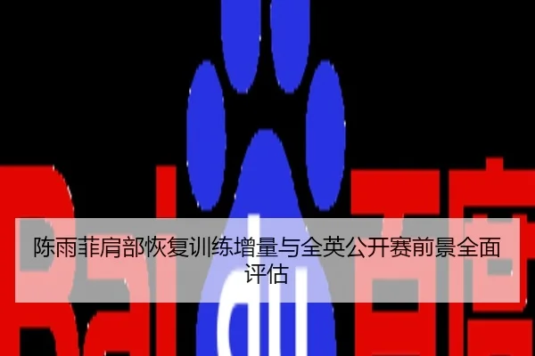 陈雨菲肩部恢复训练增量与全英公开赛前景全面评估